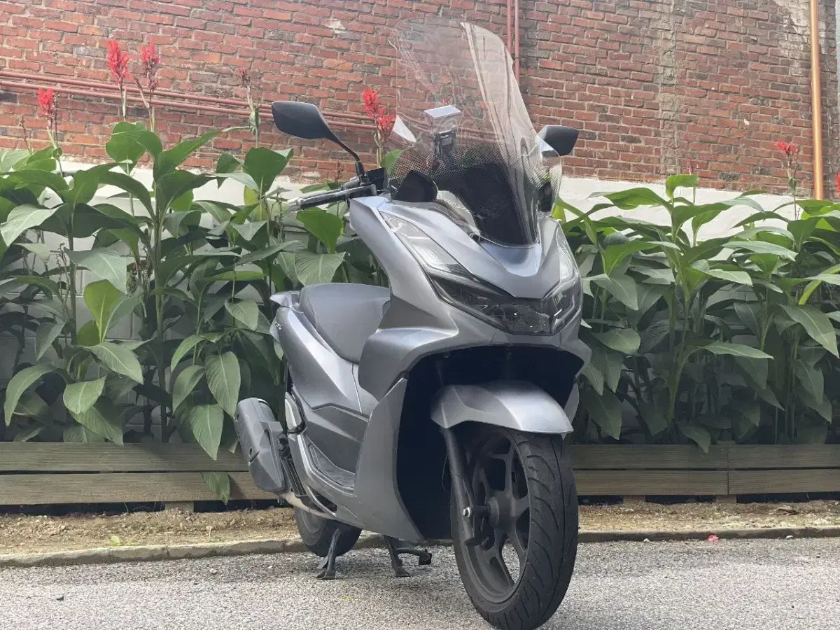 Pcx125ABS 22년식 2만키로 바이크판매